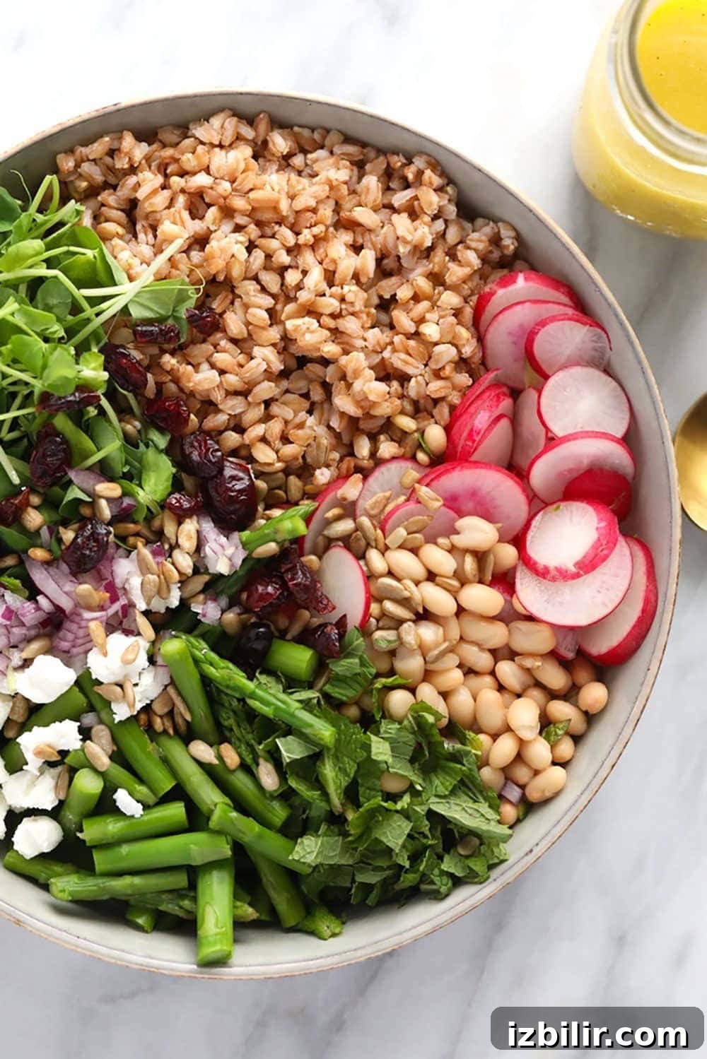 Farro Salad in a bowl 