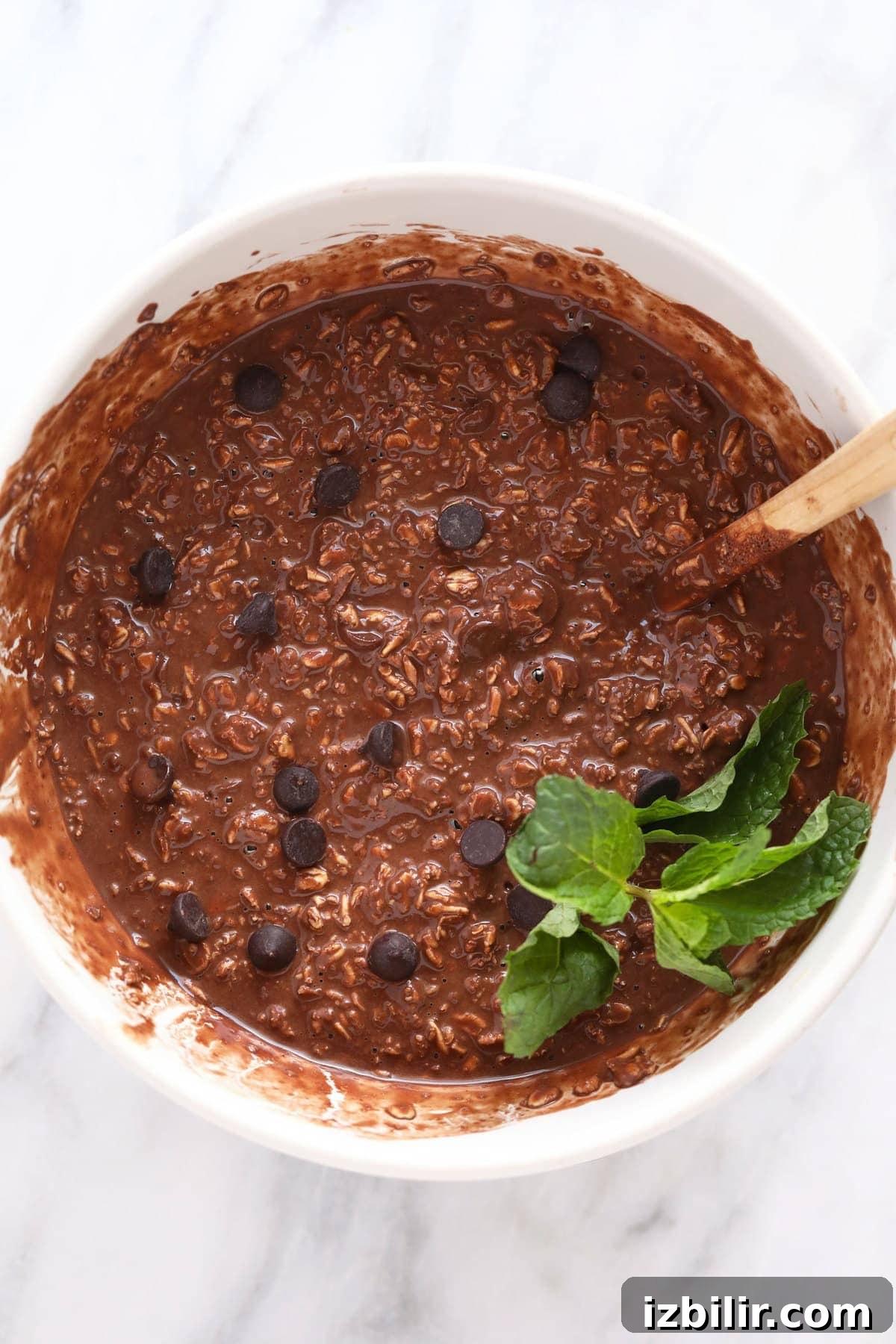 chocolate overnight oats in bowl