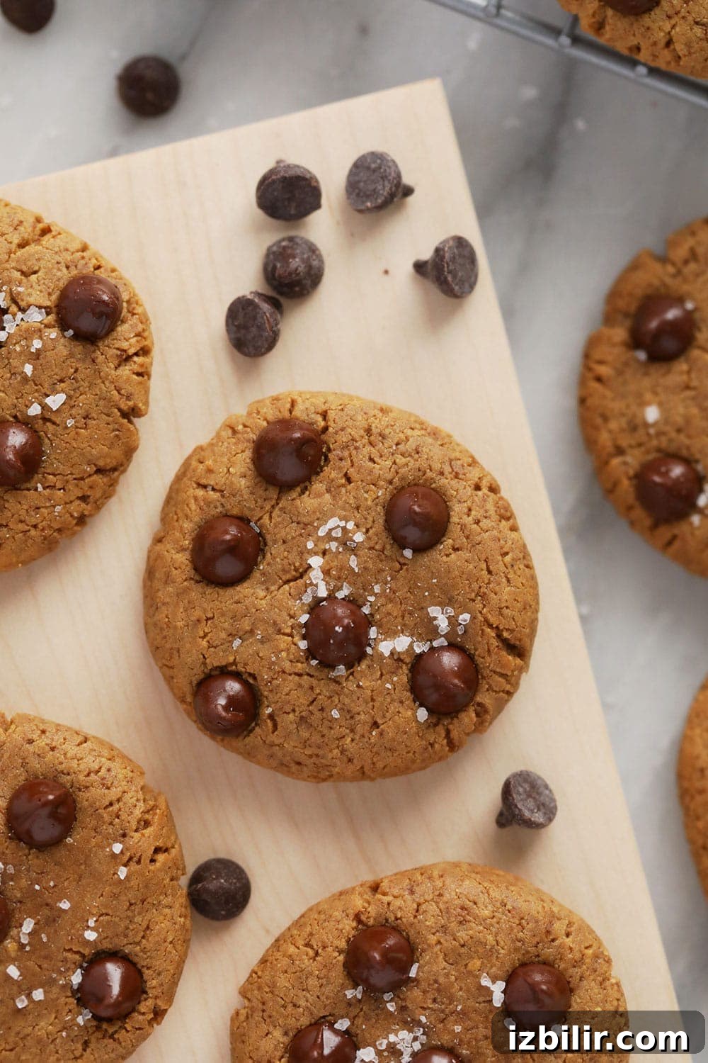Protein-Packed Peanut Butter Cookies 5 Protein cookies with sea salt and chocolate chips