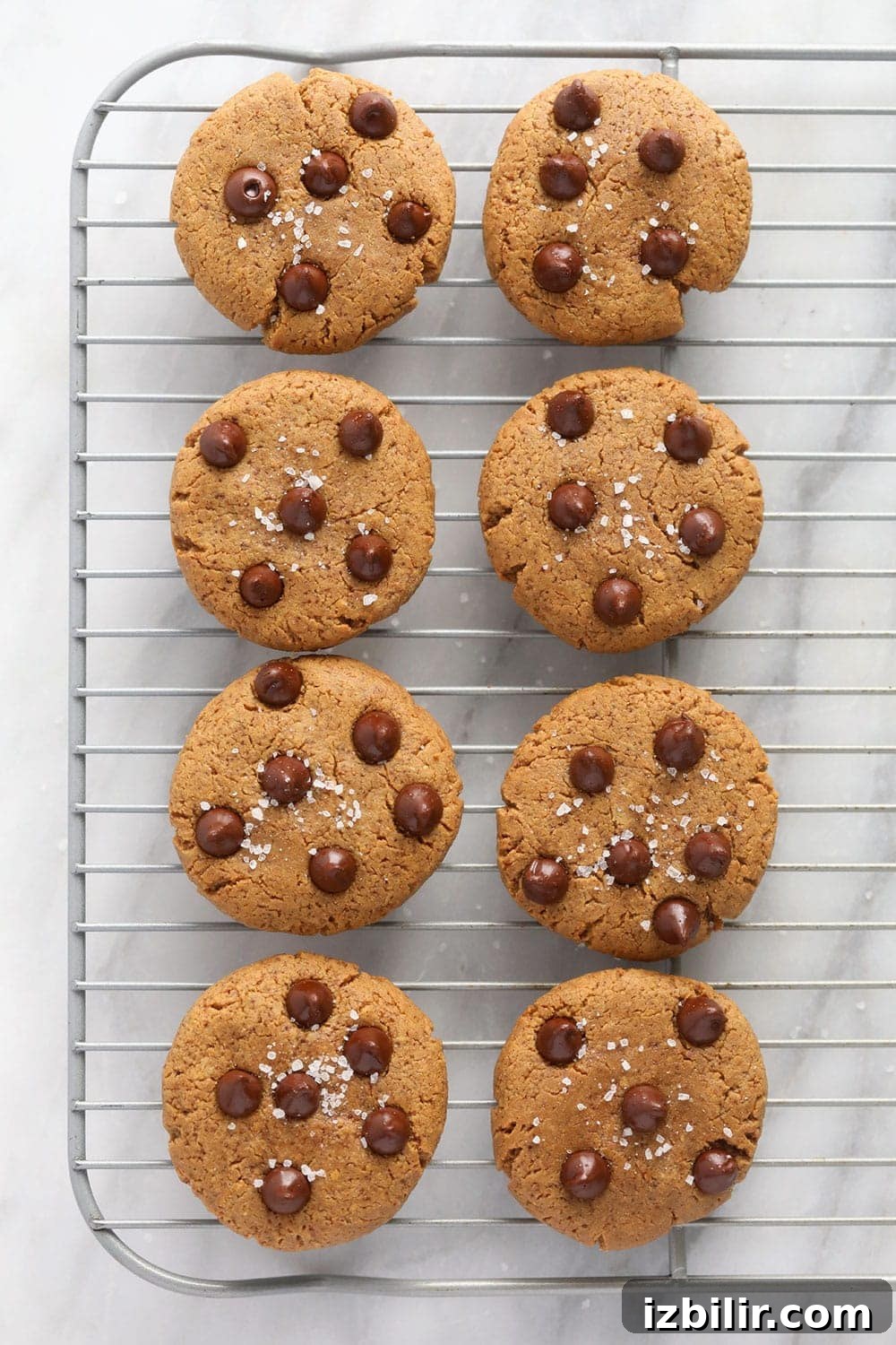 Protein-Packed Peanut Butter Cookies 4 Peanut butter protein cookies on a cooling rack
