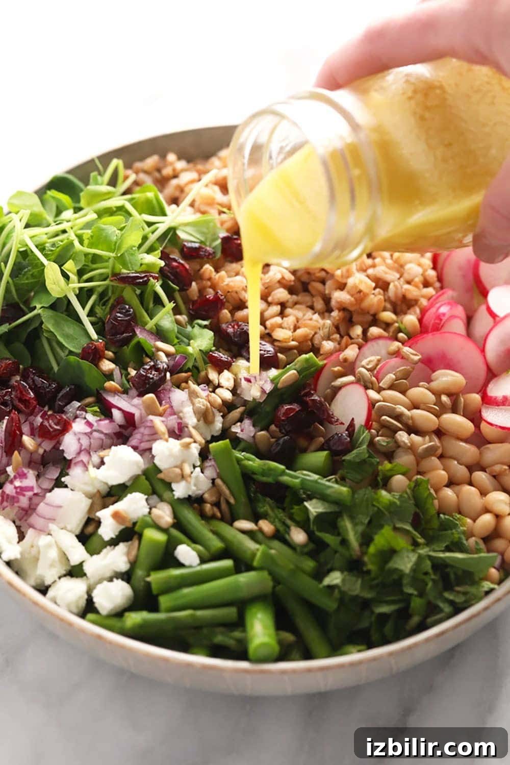 homemade lemon vinaigrette dressing being poured over a salad