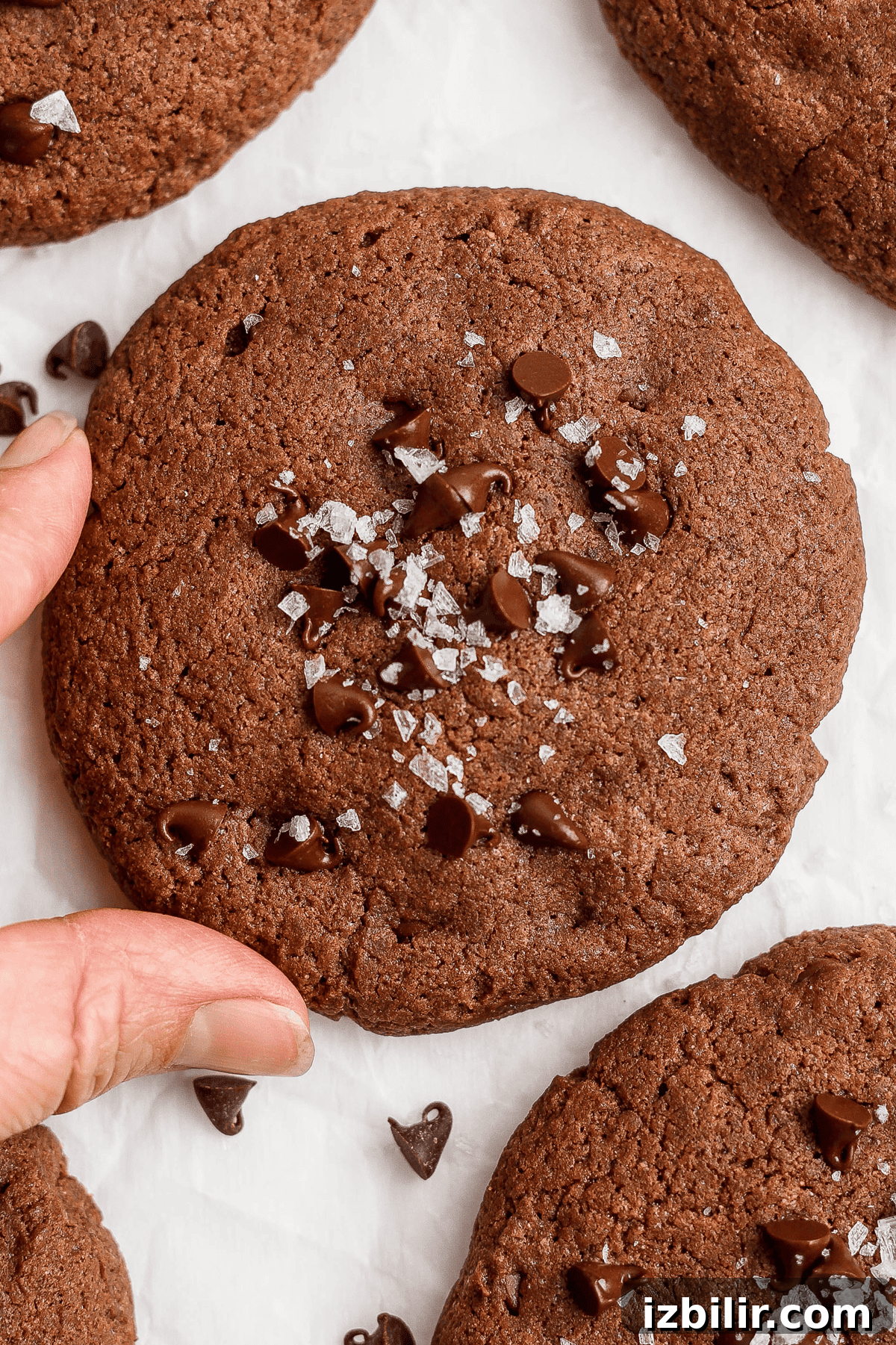 A hand holds a large chocolate cookie sprinkled with sea salt and chocolate chips on a white background.
