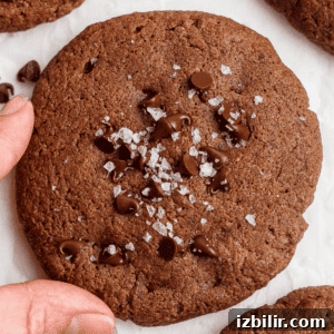 A hand holding a chocolate cookie sprinkled with sea salt flakes and chocolate chips.