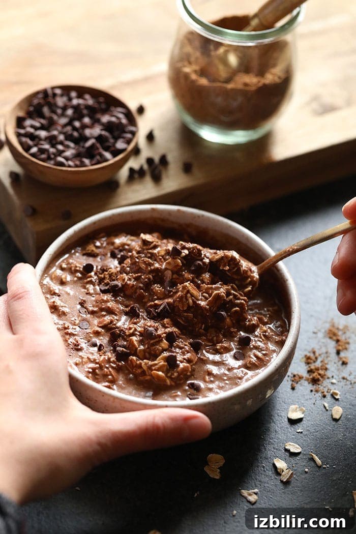 Chocolate chai overnight oats in a bowl chocolate chai vegan overnight oats in a bowl