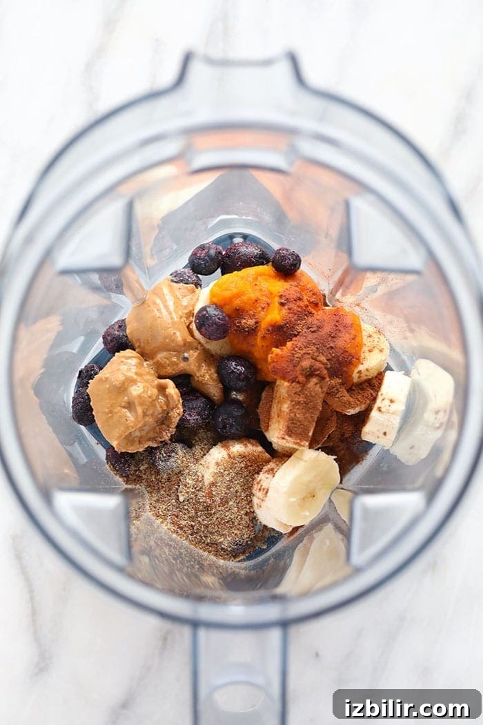 Pumpkin berry smoothie ingredients in a blender Pumpkin berry smoothie ingredients in a blender