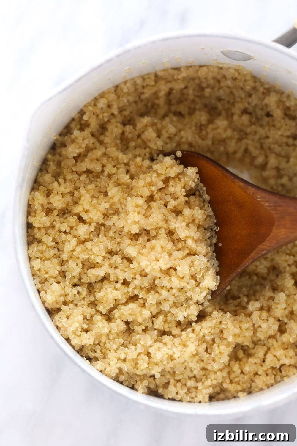 Fluffy quinoa in a pot fluffy quinoa in pot