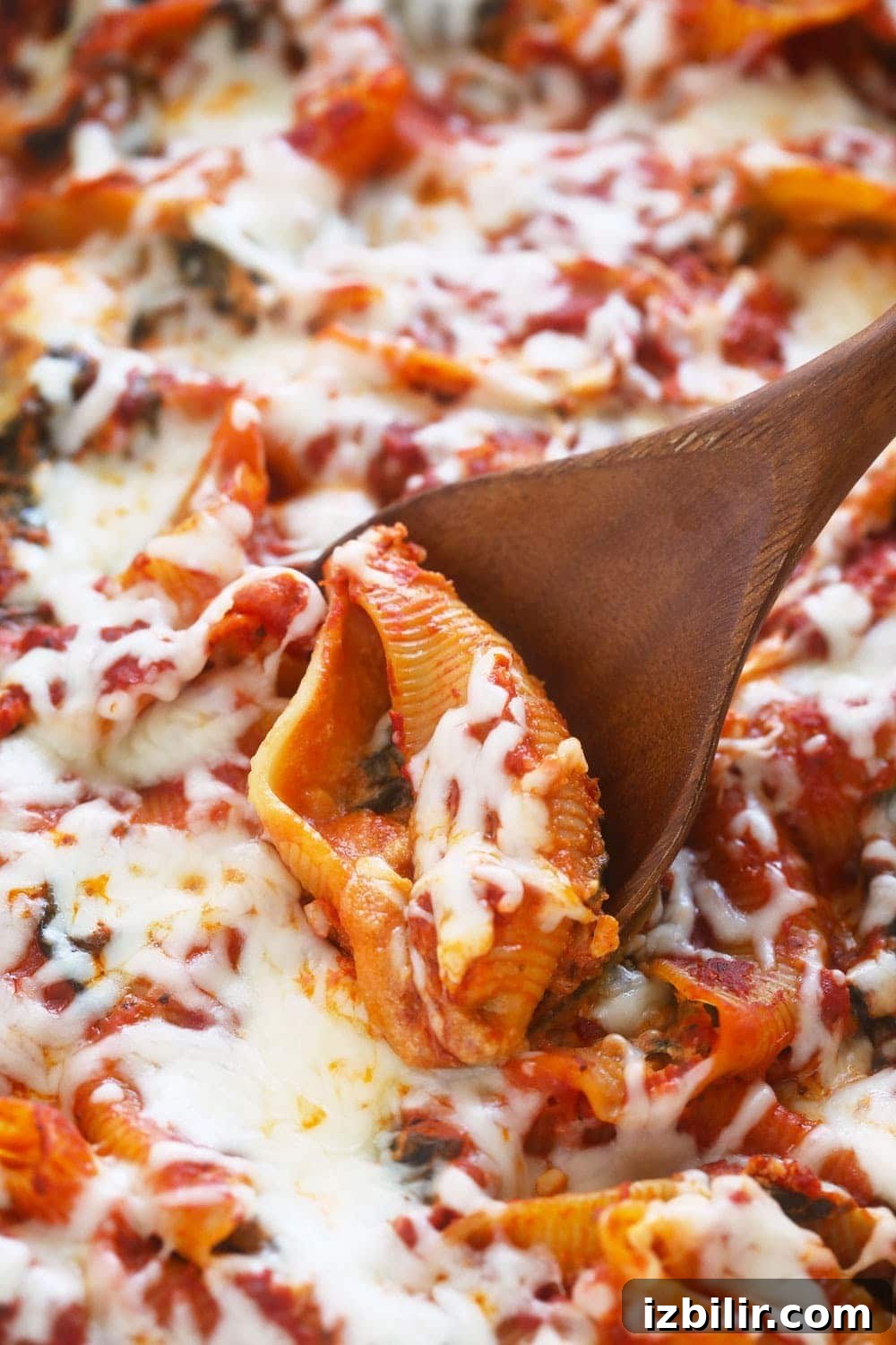 Scooping stuffed shells out of the pan