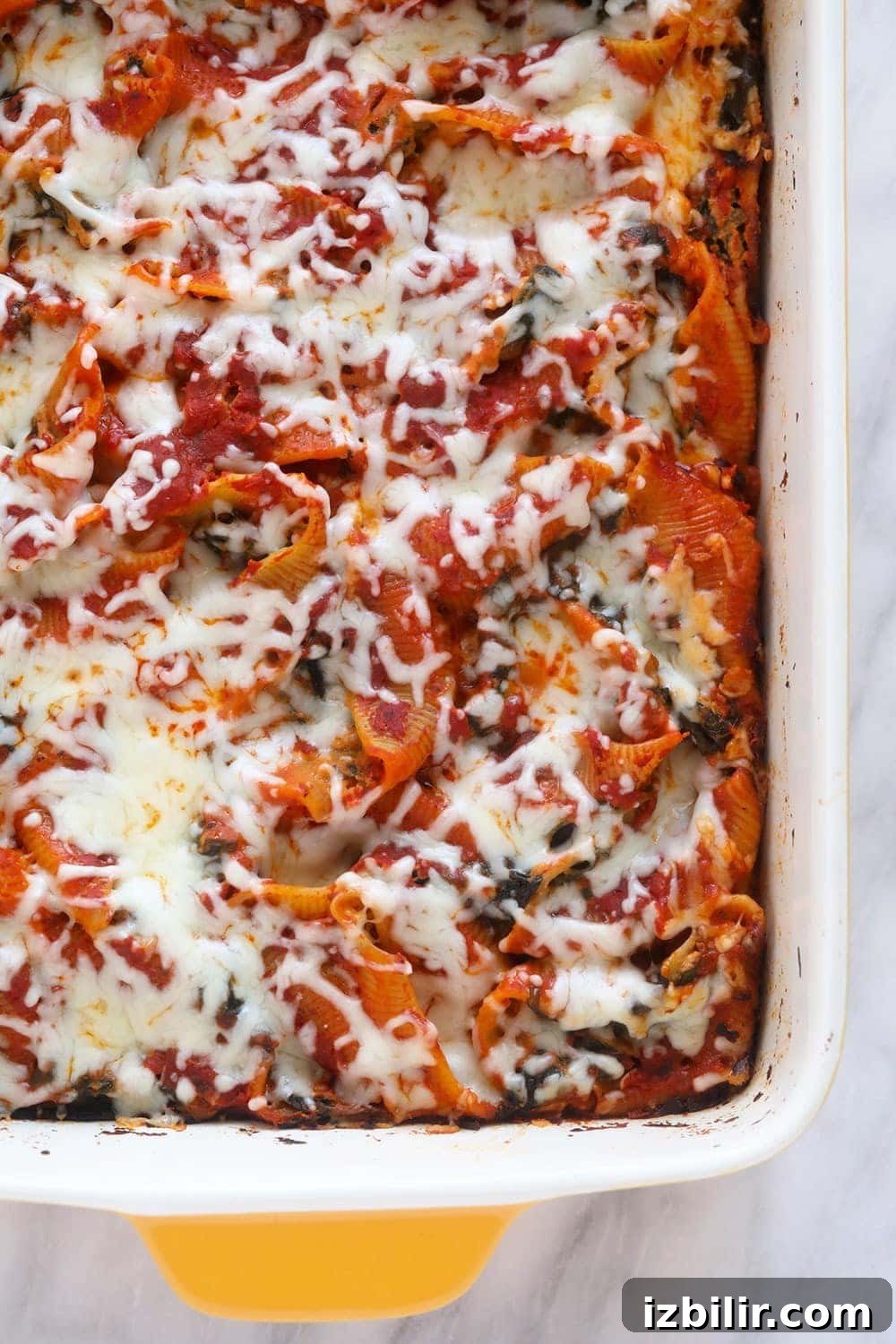 Stuffed shells in a casserole dish
