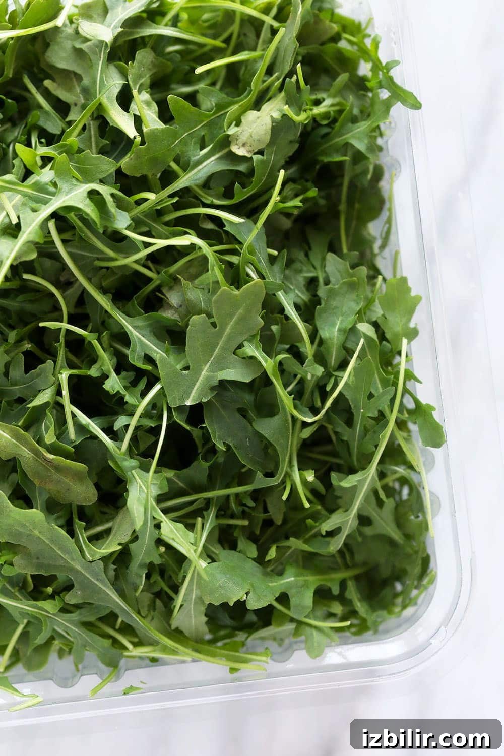 This arugula salad has dried fruit, vegetables, cheese, and a delicious dressing! Arugula in a container