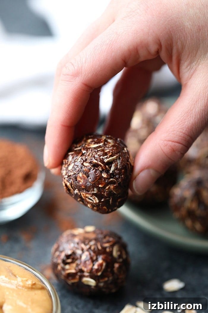 No-Bake Chocolate Peanut Butter Balls Recipe 3 A hand holding one chocolate no bake peanut butter ball.