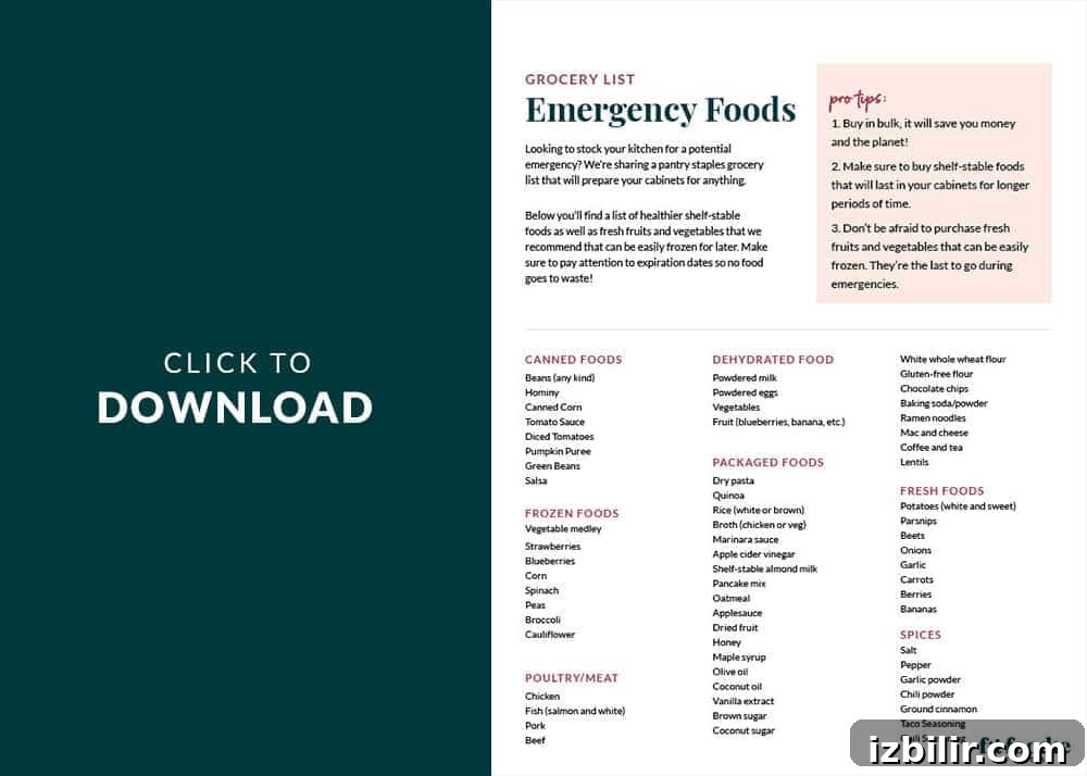 Welcome to our Guide to Emergency Food Prep. Here you will learn which healthy, long-lasting foods you should stock your pantry with during a crisis as well as tons of healthy meal ideas that use these pantry staples. grocery list for emergency foods