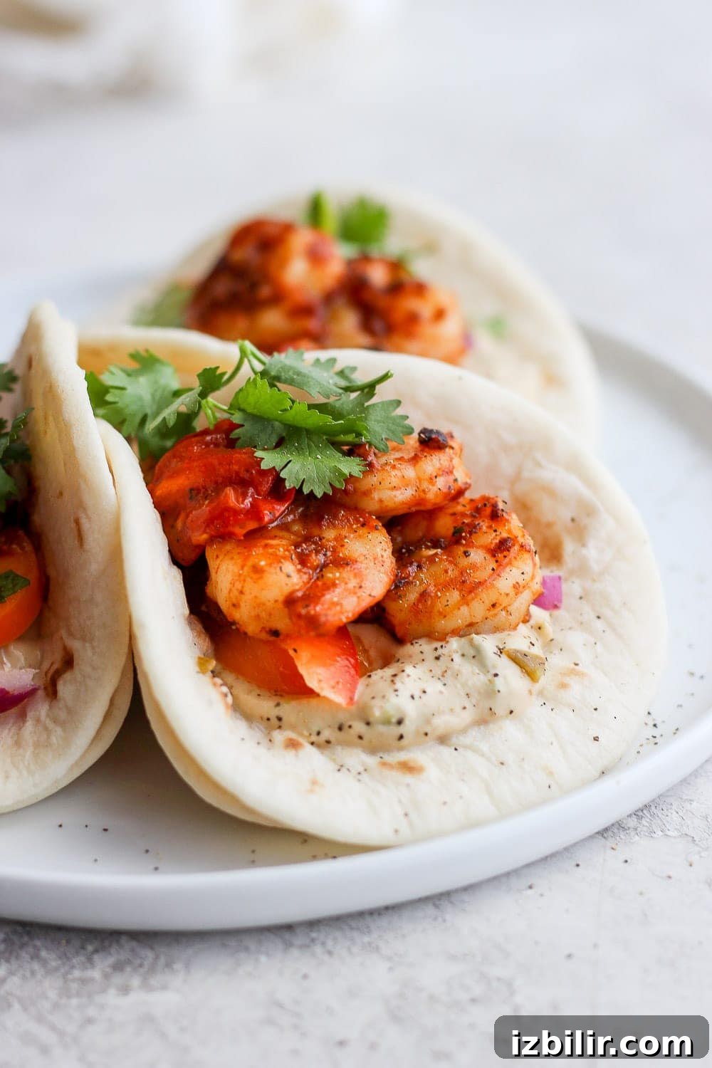 Assemble tacos with sauce, shrimp, and slaw. shrimp tacos in a street taco tortilla looking delicious
