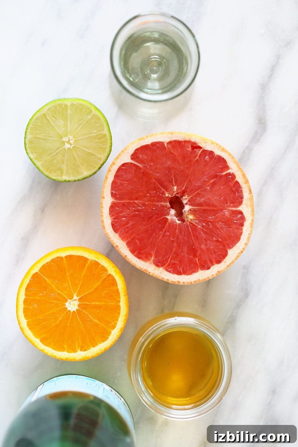 Ingredients for homemade hard seltzer
