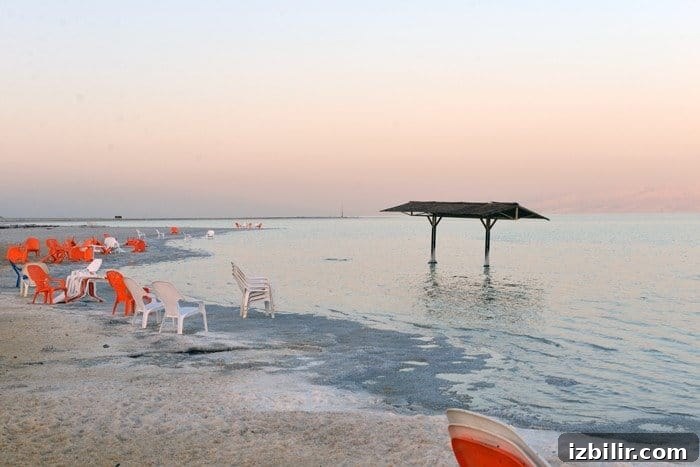 Vibe Israel Wellness Retreat and Cultural Tour 3 deadsea