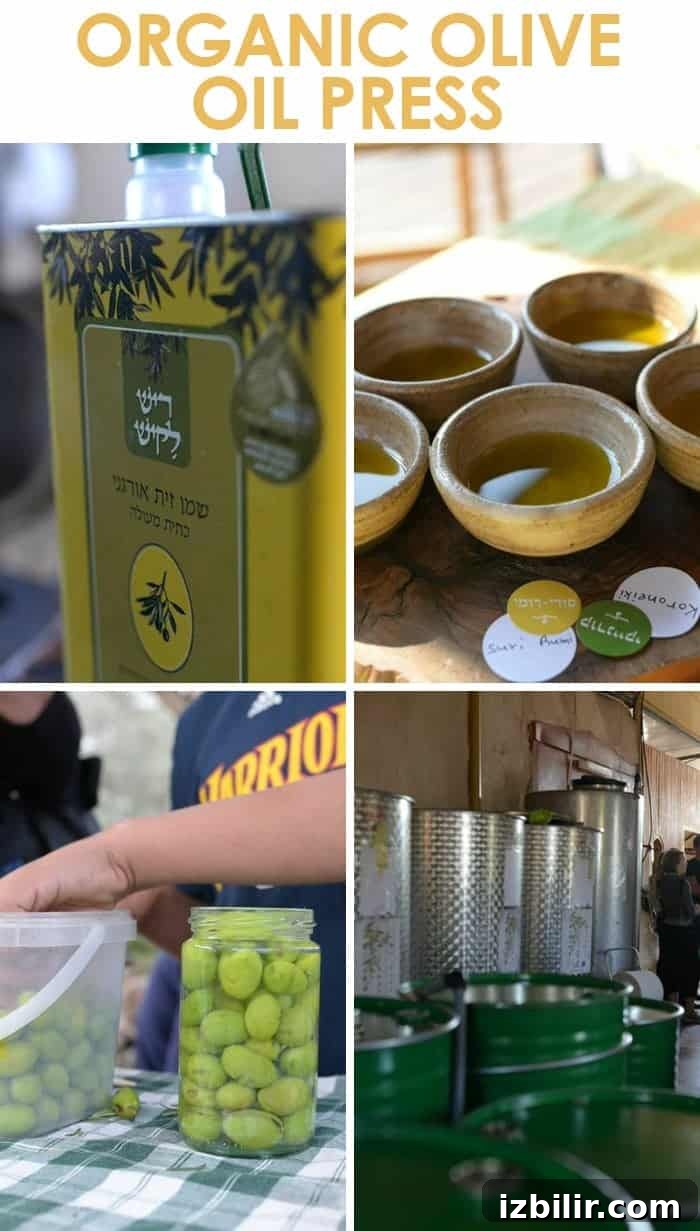 Vibe Israel Wellness Retreat and Cultural Tour 8 EVOO
