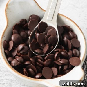 How to Make Homemade Vegan Chocolate Chips 6 Chocolate chips in a white bowl with a spoon.