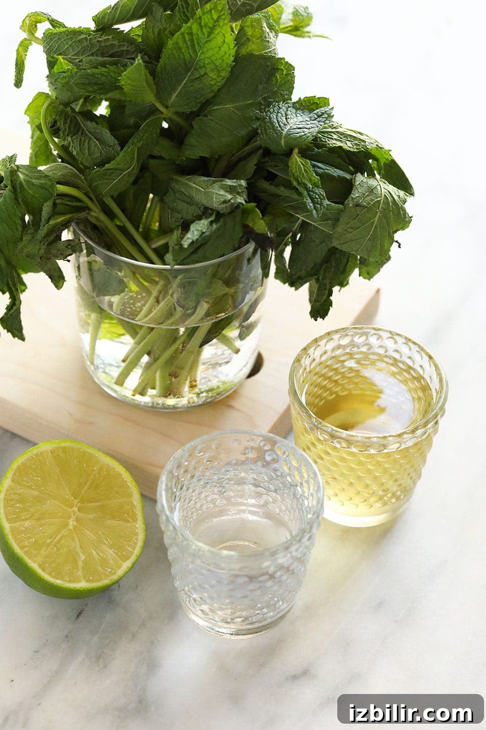 fresh mint, simple syrup, rum, and lime