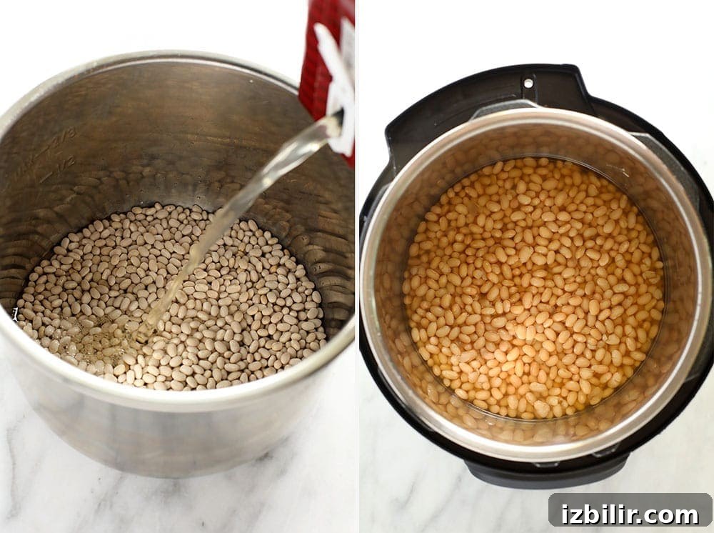 Dried white beans before and after cooking.