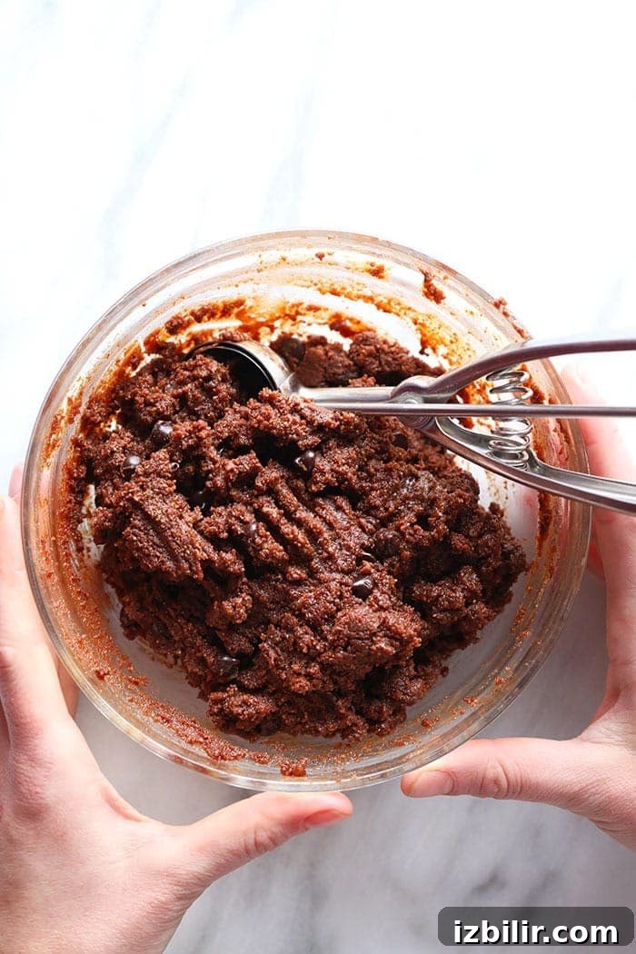 All of the hot cocoa ingredients in a bowl All of the hot cocoa ingredients in a bowl