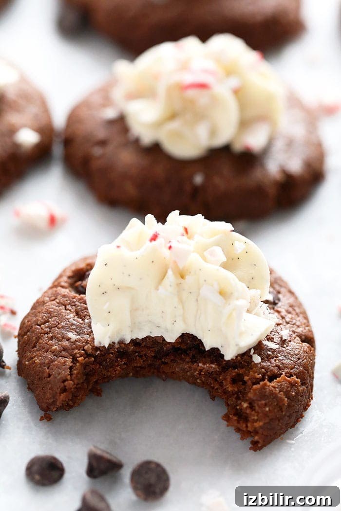 Decorated hot cocoa cookies Decorated cookies with a bite taken out of one of them!