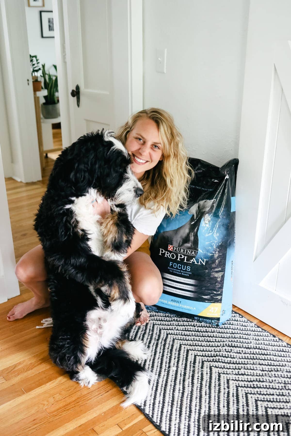Dog Food: How to Choose the Right Option for Your Pet 2 Jasper the bernedoodle
