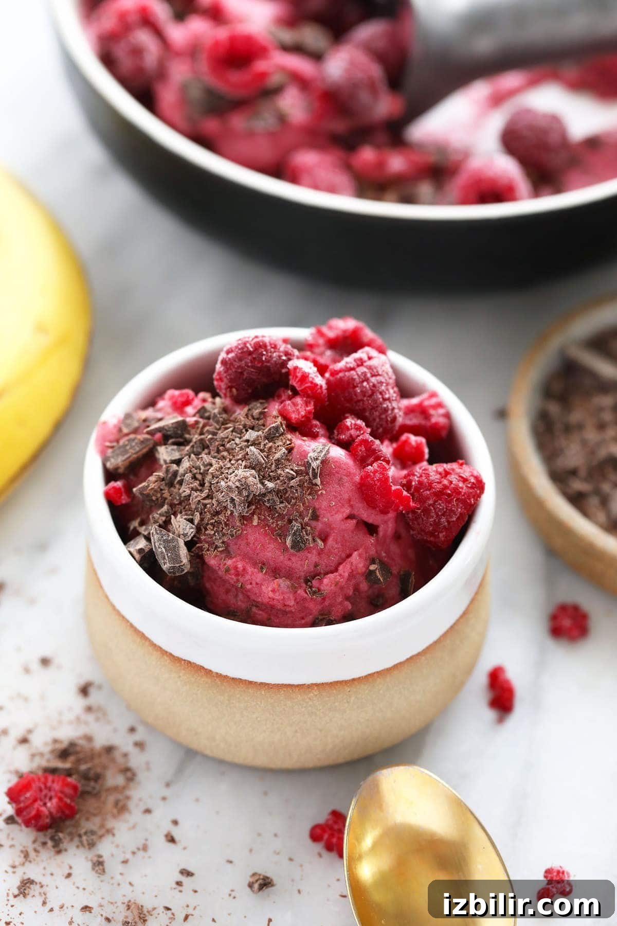 raspberry chocolate chunk nice cream in a bowl topped with fresh raspberries
