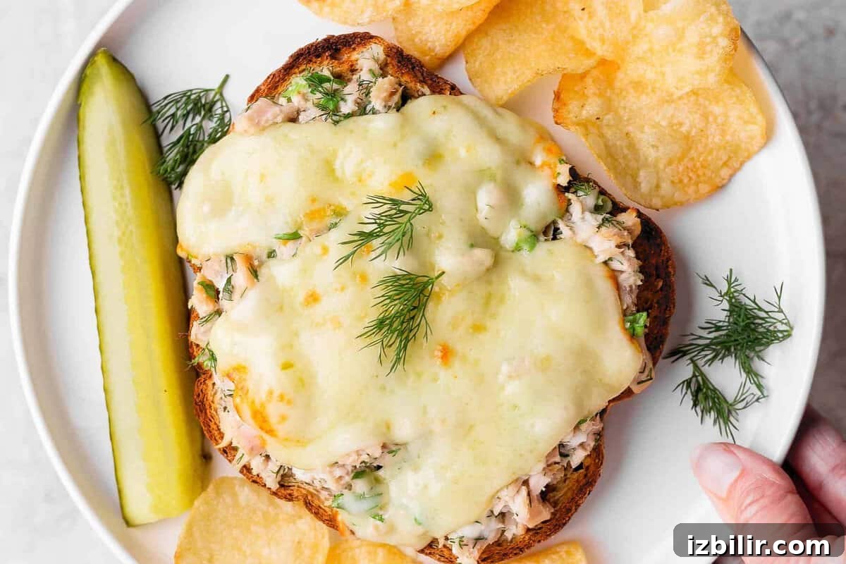 Mayo-Free Tuna Melt with Cottage Cheese 2 healthy tuna melt with cottage cheese served with chips and pickle