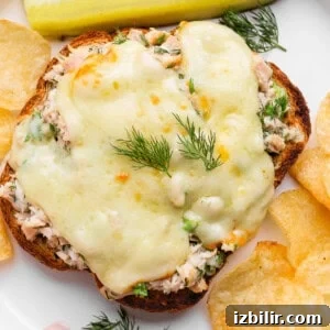 Mayo-Free Tuna Melt with Cottage Cheese 7 healthy tuna melt with cottage cheese served with chips and pickle