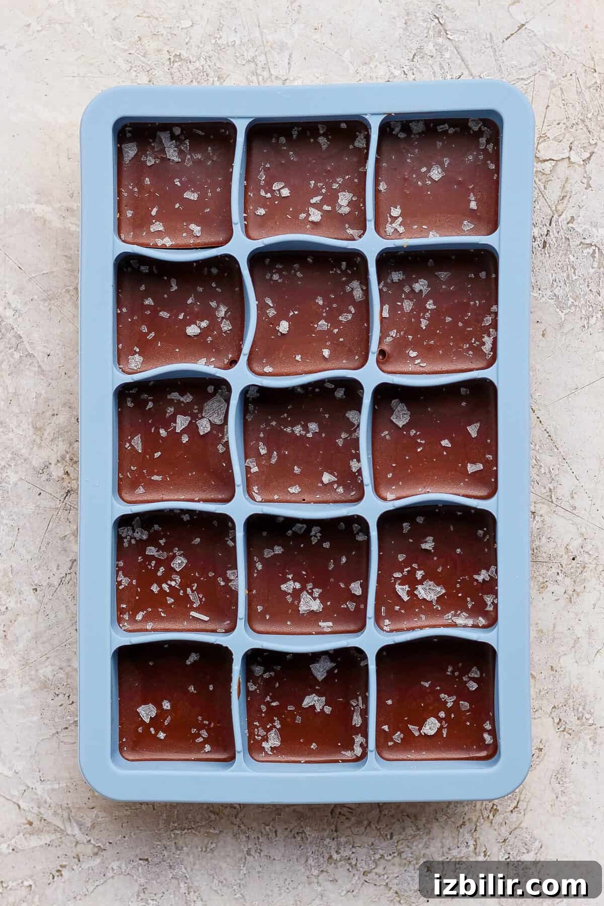 No-Bake Thin Mint Protein Bites Recipe 8 thin mint protein bites topped with flaky sea salt in a blue silicone tray before freezing