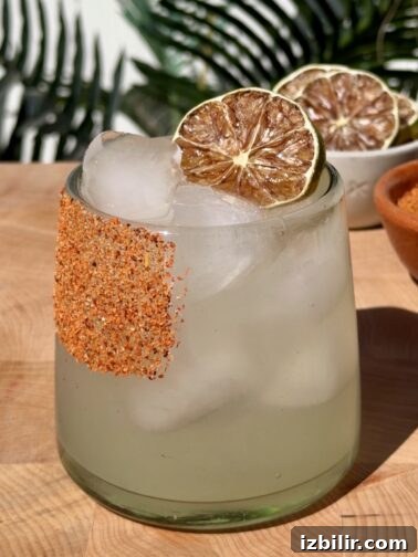 Classic Margarita in a salt-rimmed glass garnished with a lime wheel