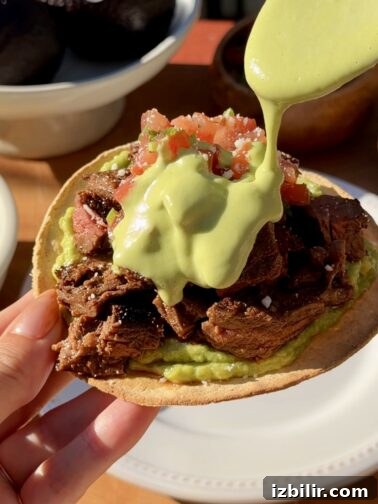 Steak tostadas topped with guacamole, charred jalapeño crema, pico de gallo and cotija
