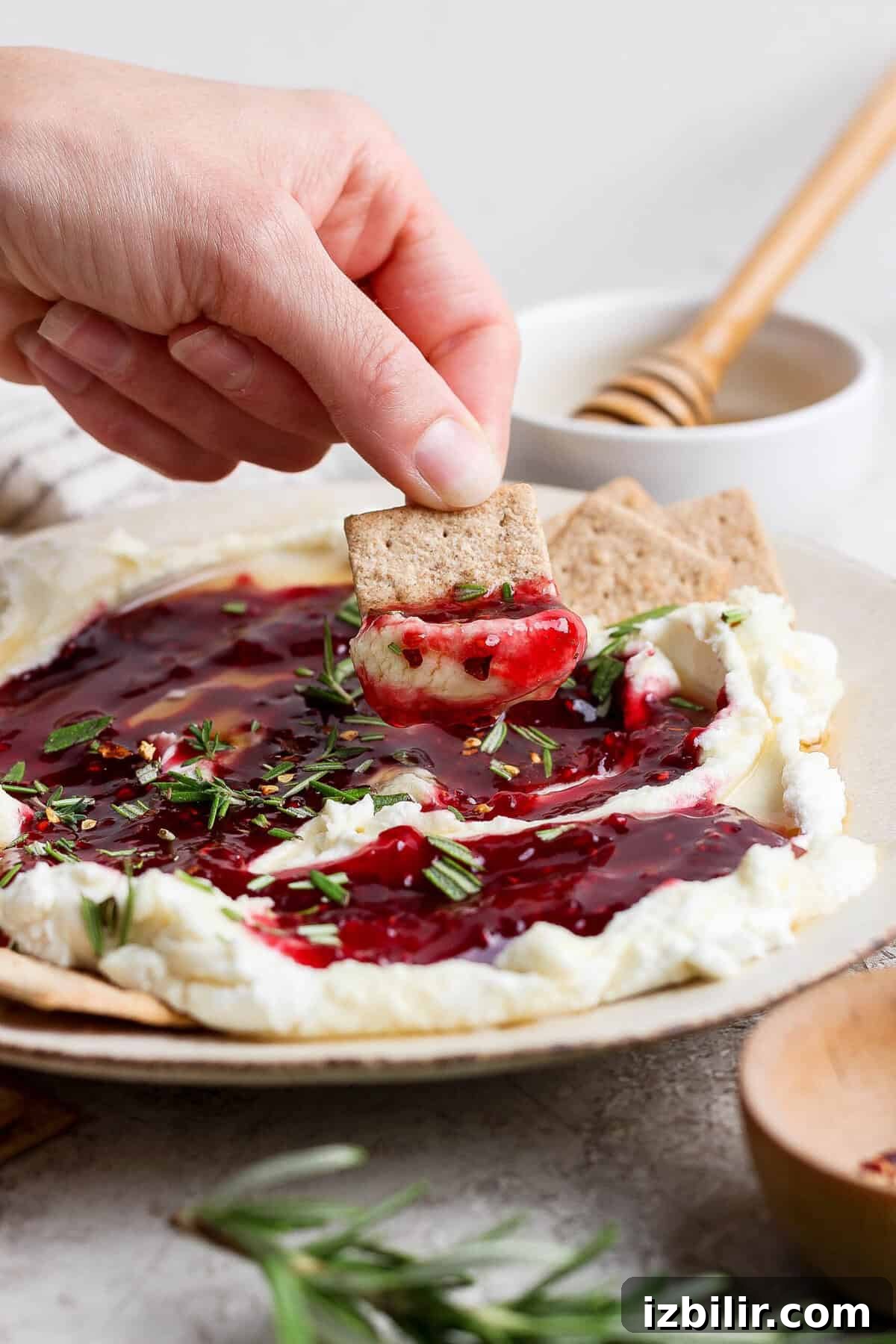 hand lifting a cracker loaded with goat cheese dip and raspberry jam