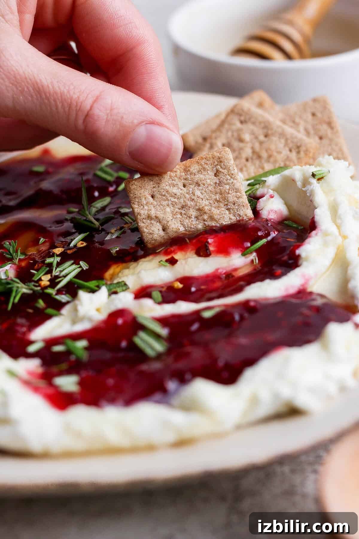 hand dipping a cracker into goat cheese dip with raspberry jam and hot honey