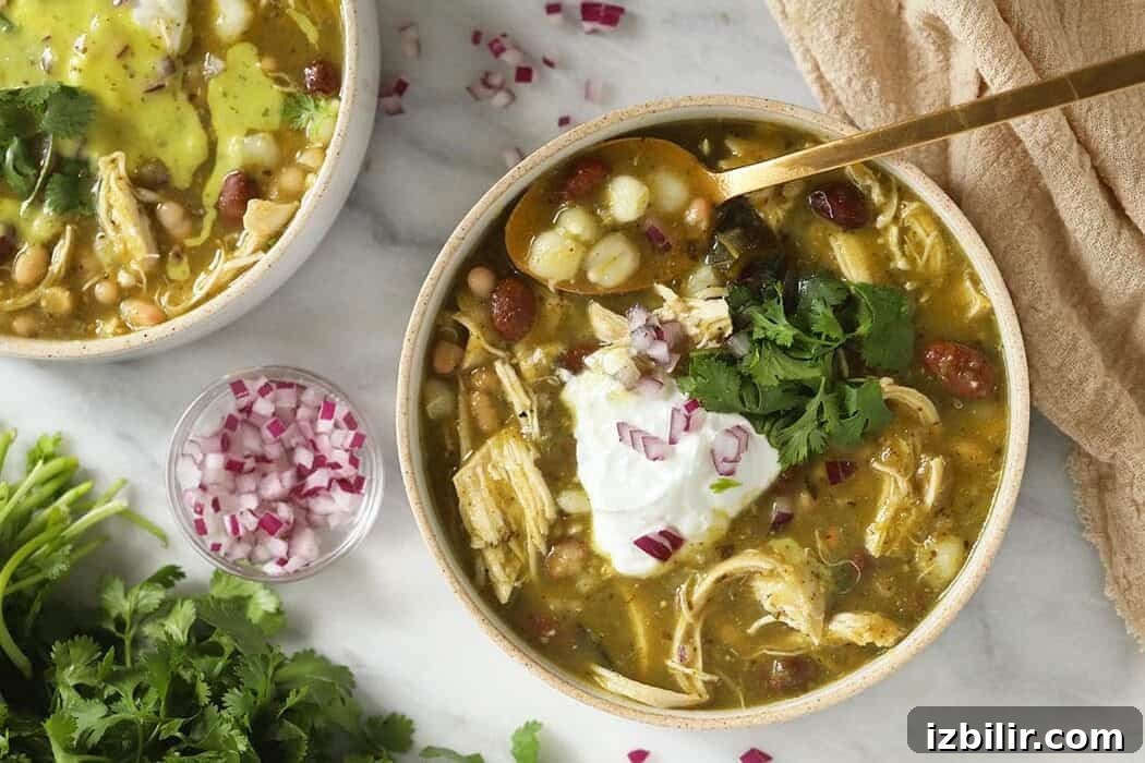 Flavorful Chicken and Bean Green Chili Recipe 2 Green chili ingredients