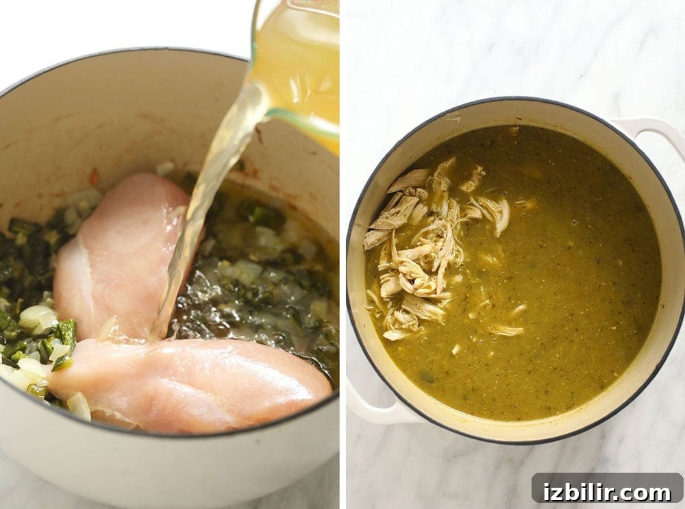 Flavorful Chicken and Bean Green Chili Recipe 4 green chicken chili in stock pot
