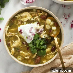 Flavorful Chicken and Bean Green Chili Recipe 6 bowl of green chicken chili