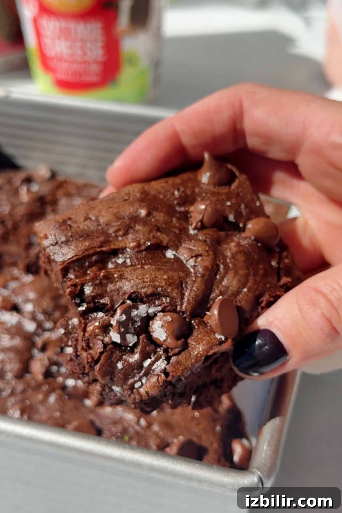 Fudgy 2-Ingredient Cottage Cheese Brownies 2 Hand holding a fudgy cottage cheese brownie with chocolate chips and flaky salt above the pan.
