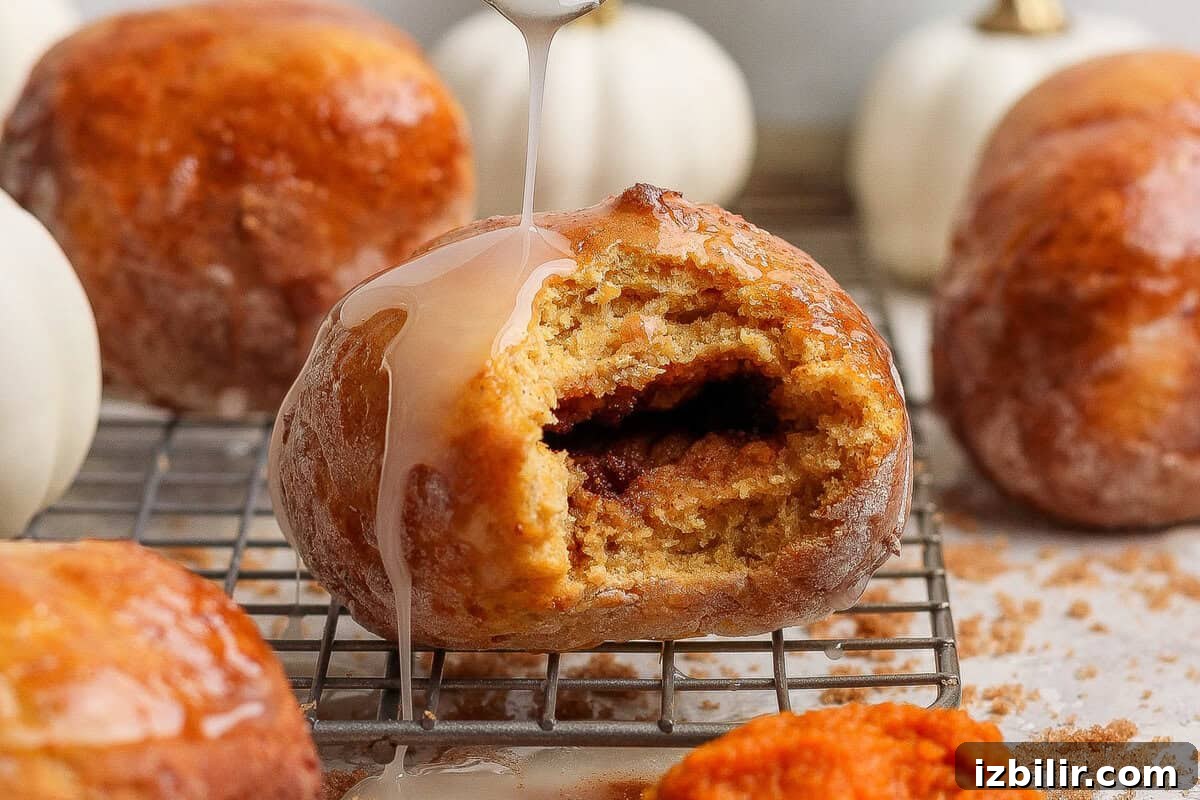 Crispy Cottage Cheese Pumpkin Fritters Recipe 2 Glazed cottage cheese pumpkin fritter with a bite removed to show the spiced brown sugar center, surrounded by more fritters and small pumpkins.