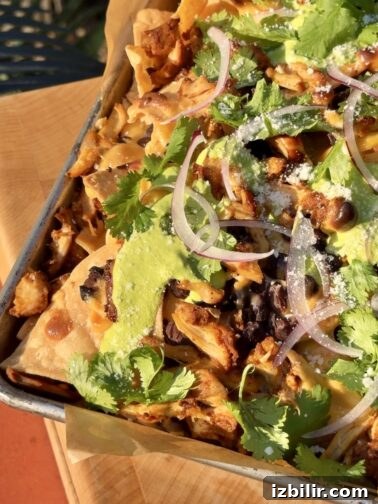 Pollo a la Brasa Nachos with Aji Verde
