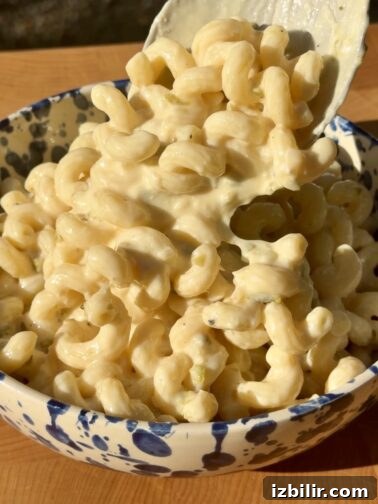 Pasta with Loroco Cream and seared chicken