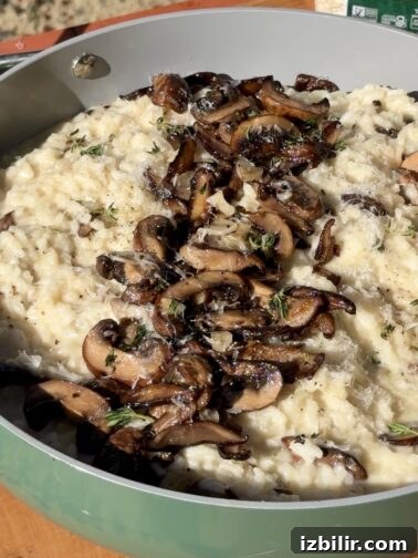 Wild mushroom risotto with roasted garlic