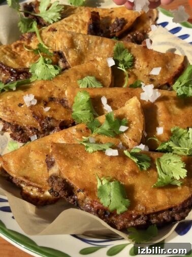 Golden crispy quesatacos with melted mozzarella and seasoned ground beef